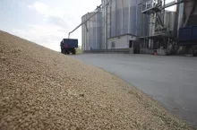 Zboże, pryzma, elewator i załadunek