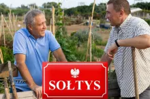sołtys