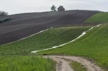 ziemia, ziemia rolna, dzierżawa, KOWR