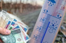 przymrozek pieniądze