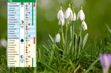 Kalendarz biodynamiczny na luty 2026. Co siać, ciąć i chronić w ogrodzie?