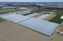 Zblokowane tunele truskakowe