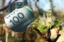 Rolnikom zostało kilka dni. 2400 zł do hektara przepadnie bez tych załączników