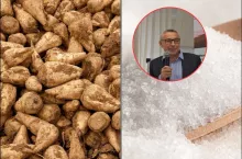 Buraki pod kreską. Ceny skupu spadają, kampania się wydłuża