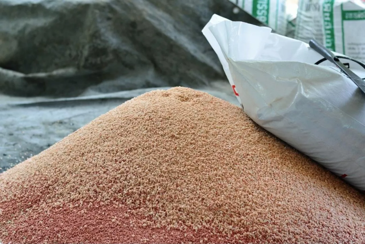 Ceny nawozów w styczniu 2026