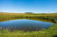 Wykopiesz staw z dofinansowaniem 50 tys. zł. Jakie warunki?