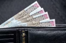 A closeup shot of 500 zloty bills protruding from a leather black wallet
