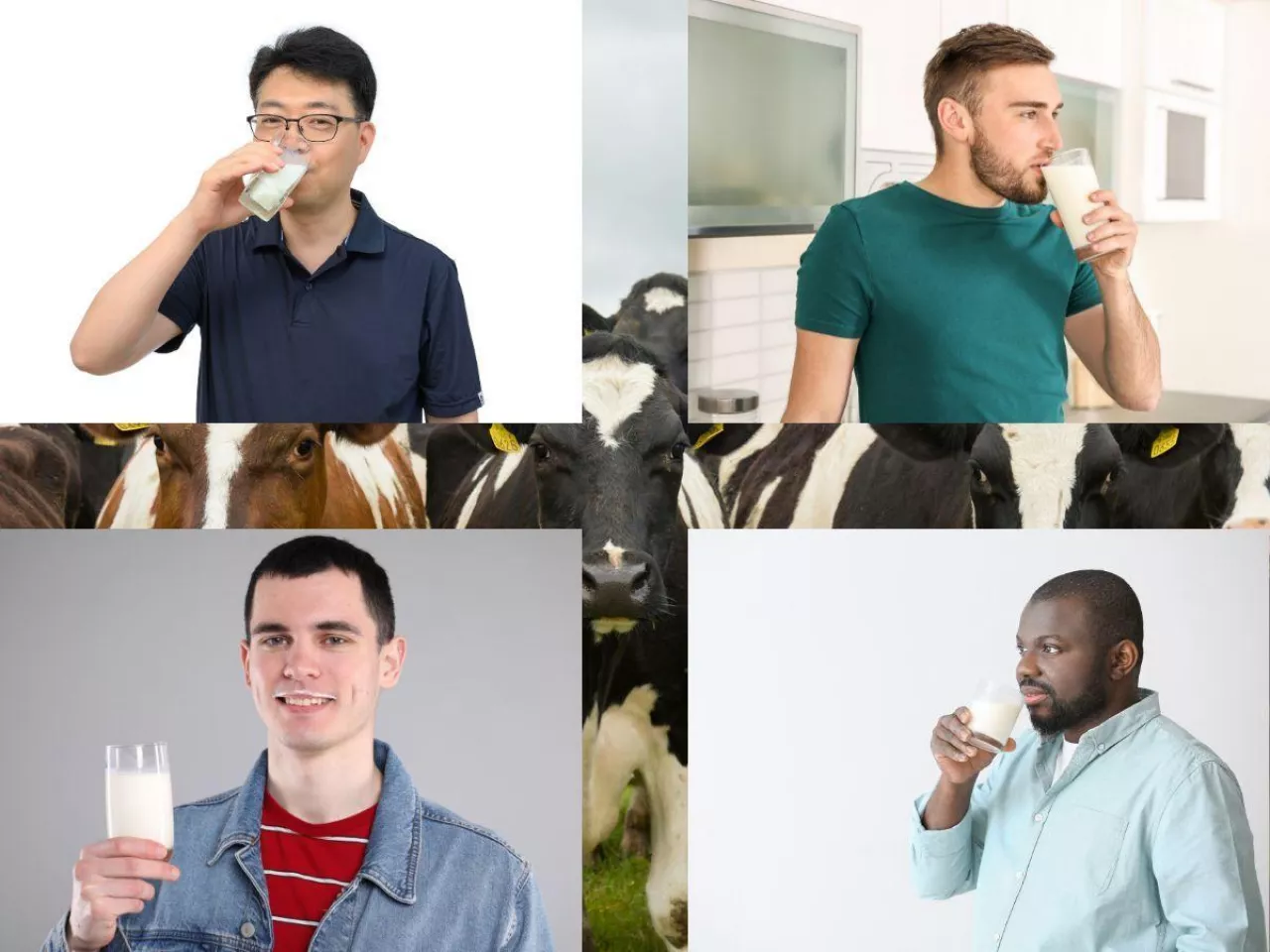 Co ósmy człowiek na świecie żyje z mleka. Te dane robią wrażenie