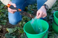 Pobieranie prób gleby