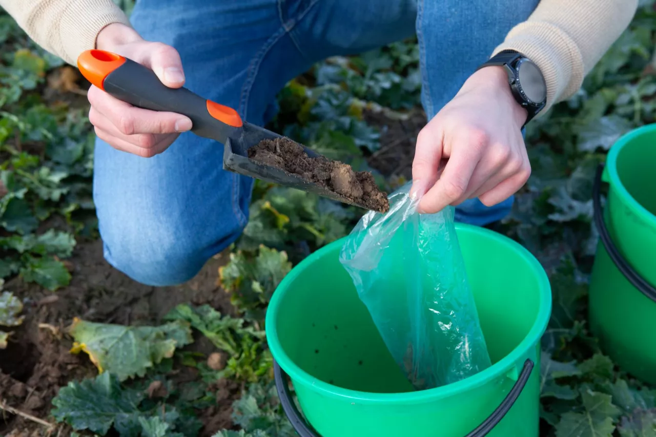 Pobieranie prób gleby