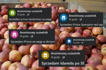 anonimowe ogłoszenia