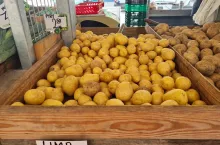 ziemniaki, sprzedaż, 