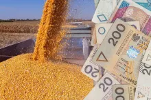 Fundusz Ochrony Rolnictwa 2026: rusza nabór wniosków o odszkodowania dla rolników