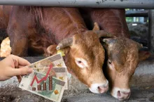 Nowy ekoschemat dla rolników. Ministerstwo ujawnia, kiedy ruszy