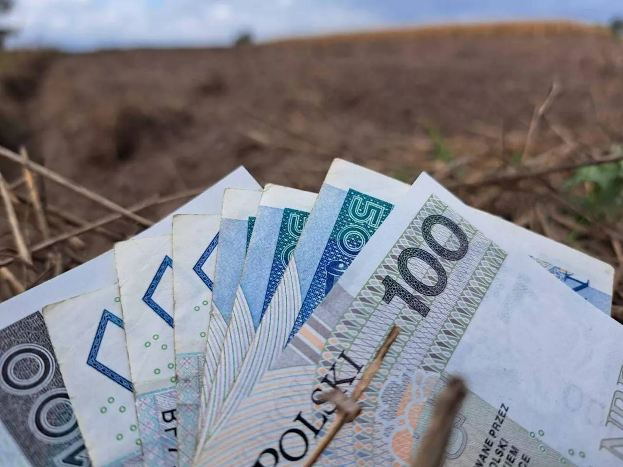 Wyższa „trzynastka” z ZUS i KRUS w 2026 roku. Ile wyniesie świadczenie dla emerytów- rolników?