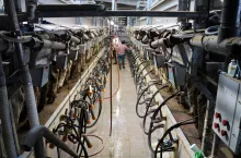 Hodowcy są zadowoleni z zamontowania hali typu bok w bok