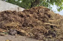 Obornik, obornik na polu, składowanie obornika