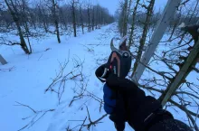 zimowe cięcie jabłoni