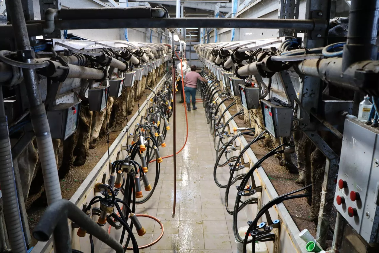 Hodowcy są zadowoleni z zamontowania hali typu bok w bok