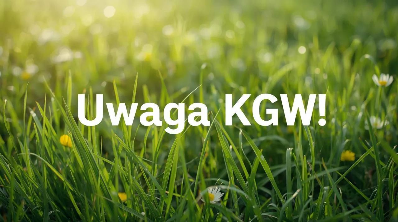 Większość KGW jeszcze bez sprawozdania