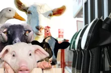 Zwrot akcyzy za paliwo 2026. Jak wygenerować DJP w IRZplus?