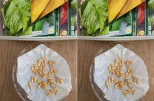 Kupujesz nasiona? Te błędy przy materiale siewnym mogą kosztować plon