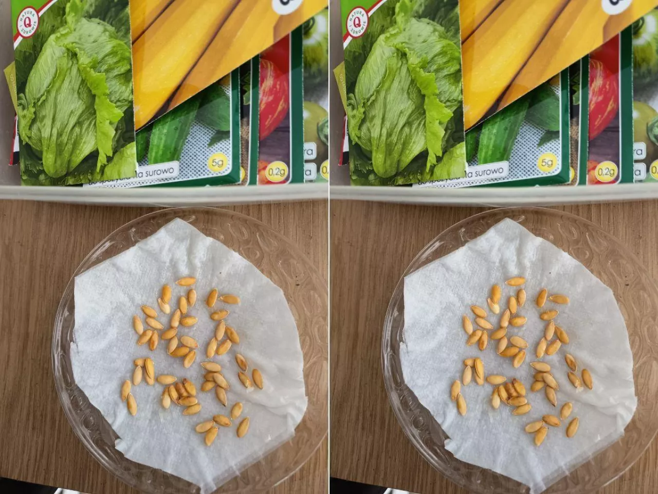 Kupujesz nasiona? Te błędy przy materiale siewnym mogą kosztować plon