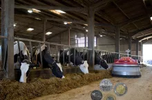 Ceny mleka spadają kolejny miesiąc. Jak poprawić opłacalność?