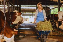 Rolnicy mają dość papierów. Będą zmiany w dopłatach do dobrostanu? 