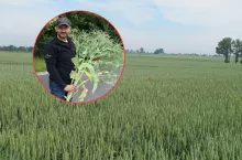 ”Nic nie możemy zaplanować”. Rolnicy pełni obaw przed nowym sezonem