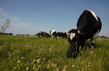 Będą zmiany w dopłatach ekologicznych? Chodzi o małe gospodarstwa
