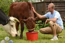 Krowa wypiła za dużo? Rolnicy nadal będą karani