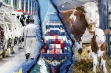 Handel UE z Mercosur generuje wysoki deficyt, a import koncentruje się na wrażliwych sektorach. Właśnie tam liberalizacja handlu może najmocniej uderzyć w konkurencyjność producentów.