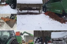 Oddał 5 ton marchwi. Tak rolnik pomógł zwierzętom w mrozy