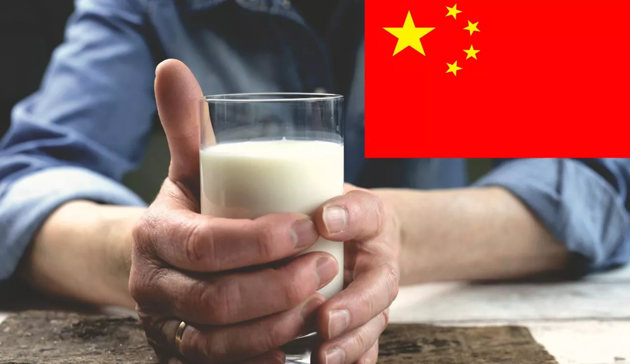 Decyzja Chin pojawia się w czasie, gdy globalny rynek mleka zmaga się z rosnącą podażą surowca oraz presją na ceny