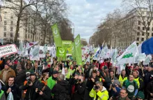 Tłum rolników protestujących w Brukseli