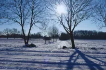 Pierwsza taka wiosna od lat? Chodzi o suszę