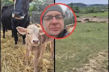 Rolnik z Zachodniopomorskiego apeluje do resortu rolnictwa: ”Wypas jest praktycznie niemożliwy”