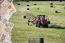 KOWR sprzeda 75 ha ziemi na Pomorzu. Za ile?