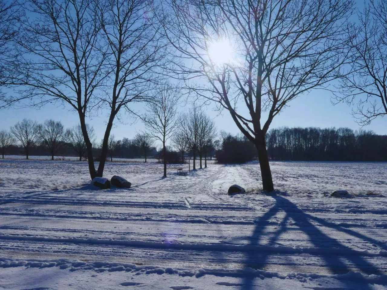 Pierwsza taka wiosna od lat? Chodzi o suszę
