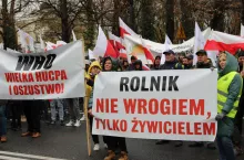 Boją się, że stracą uprawę. „Rolnictwa nie da się przestawić w jeden sezon”