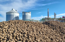 Cukrownia w Miejskiej Górce 2026