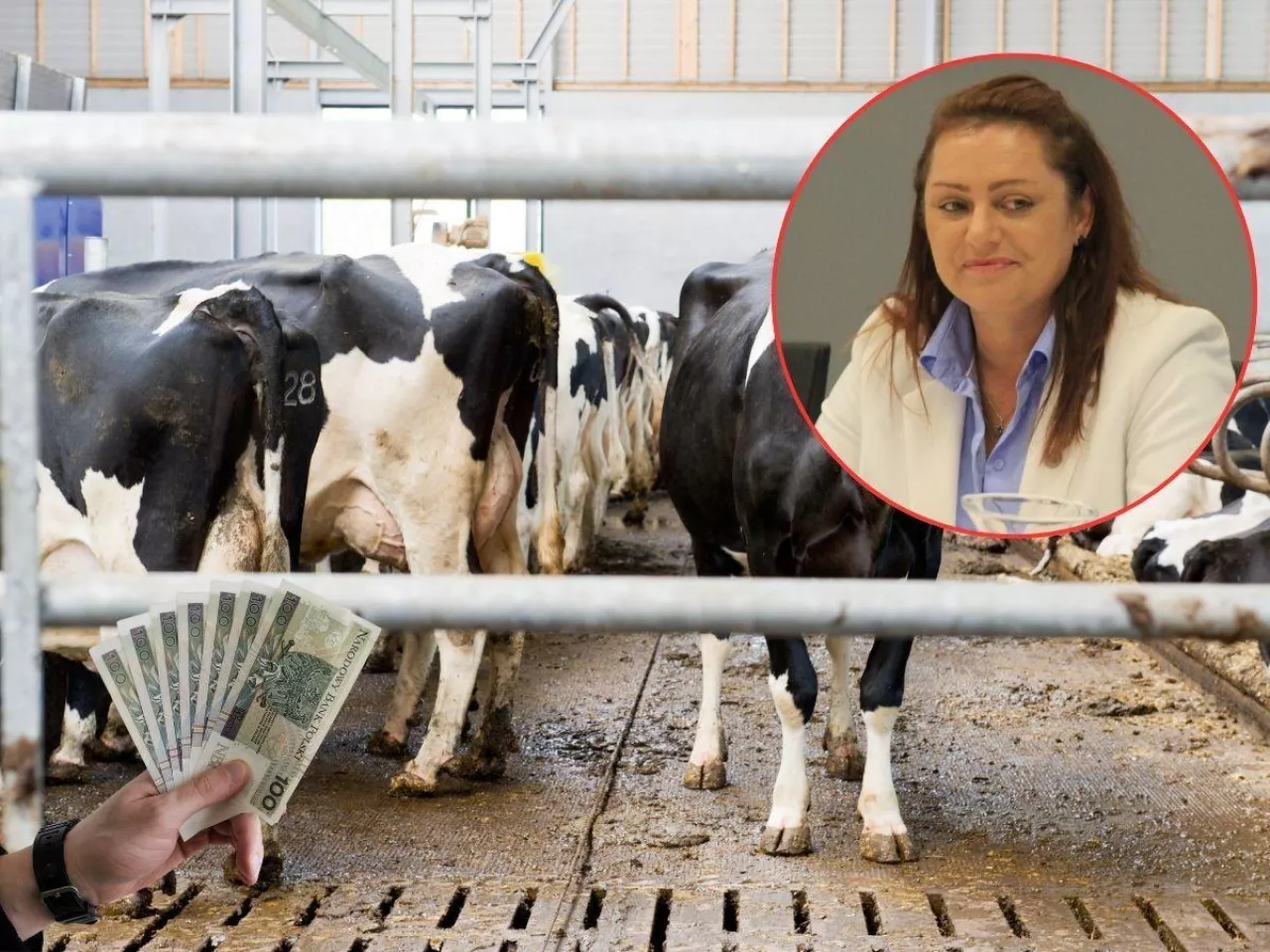 Rusza nabór na dopłaty do ubezpieczenia zwierząt