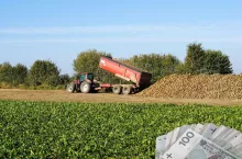 Kryzys na rynku cukru. Gigant zamyka cukrownię