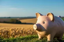Trudny start 2026 roku w rolnictwie. Spadają ceny skupu, rośnie presja finansowa gospodarstw