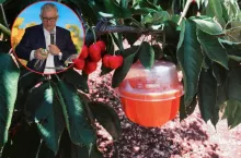 Bez oprysku i bez pozostałości? Bayer wprowadza nowe pułapki i feromony