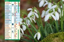 Kalendarz biodynamiczny na marzec 2026. Sprawdź najlepsze dni na cięcie, siew i sadzenie