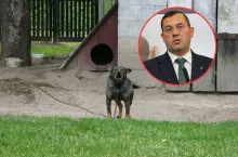 pis, buda, łańcuch, twarz ministra rolnictwa