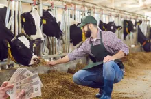 Ceny mleka spadły. Zobacz, gdzie mleczarnie płacą najlepiej