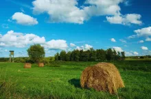 Rolnicy mogą stracić całe dopłaty? Alarm ws. nowych kar